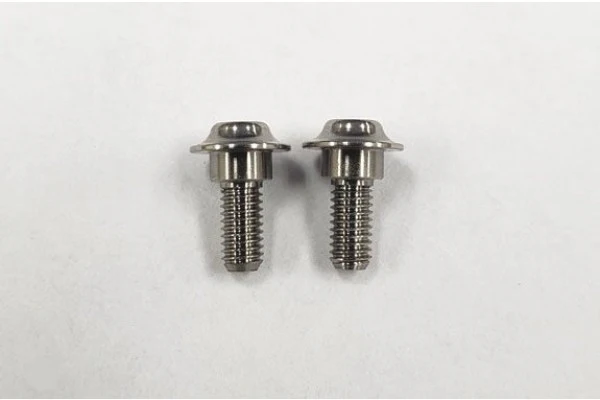 SPM Titanium Servo Screw (2 pieces) [Reve D] RT-001A
